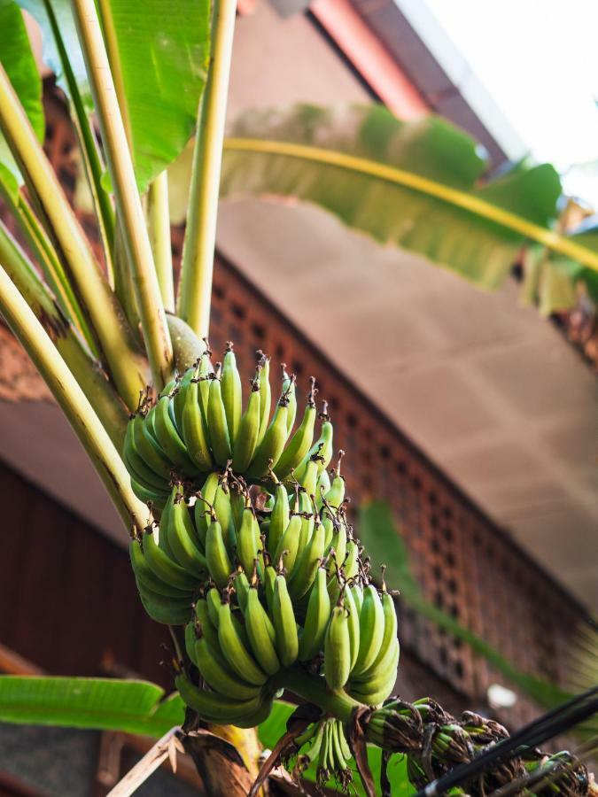 Cool Guesthouse Chiang Mai Zewnętrze zdjęcie