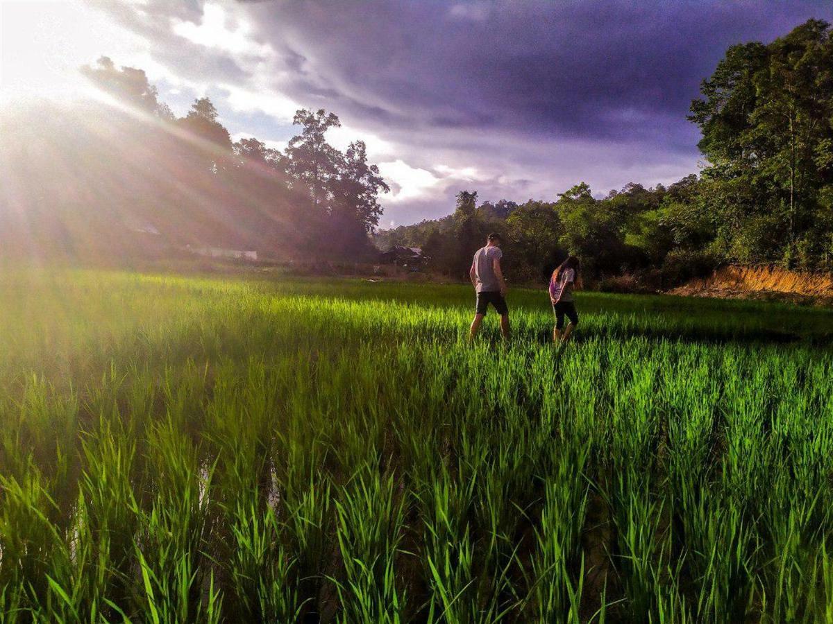 Cool Guesthouse Chiang Mai Zewnętrze zdjęcie